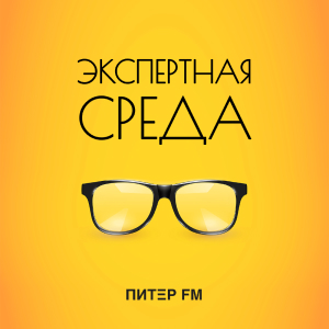 Питер FM. Программа Экспертная Среда